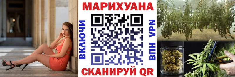 Купить закладки  Сурск  Шишки марихуана Amnesia 
